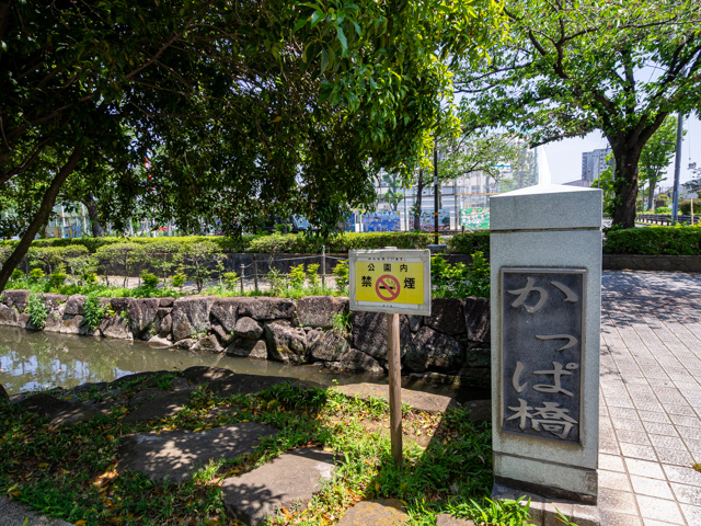 画像を別ウィンドウで表示します 画像