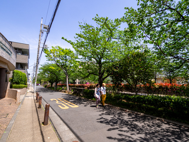 画像を別ウィンドウで表示します 画像
