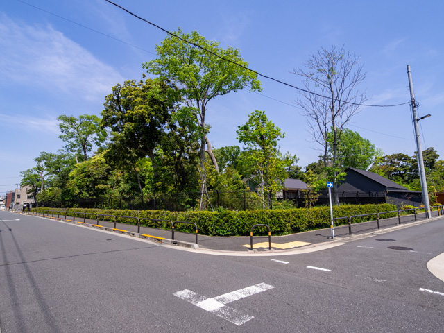 画像を別ウィンドウで表示します 画像