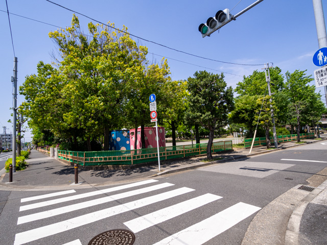 画像を別ウィンドウで表示します 画像