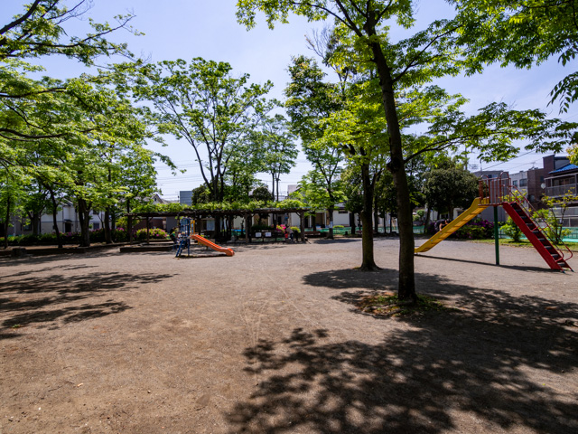 画像を別ウィンドウで表示します 画像