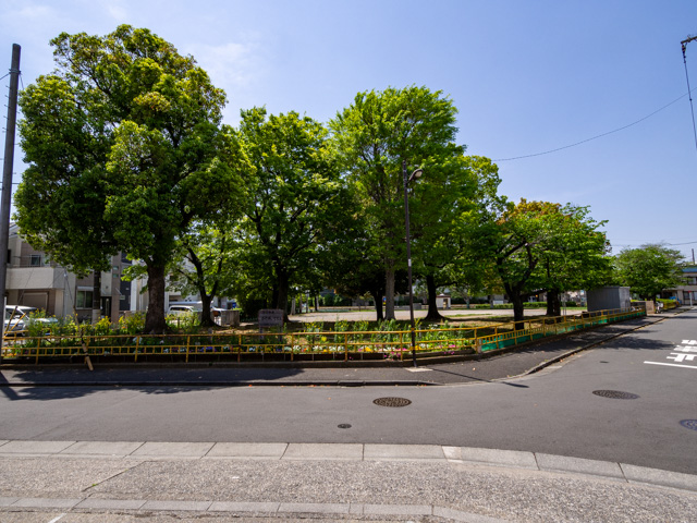画像を別ウィンドウで表示します 画像