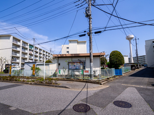 画像を別ウィンドウで表示します 画像