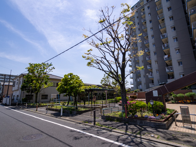 画像を別ウィンドウで表示します 画像