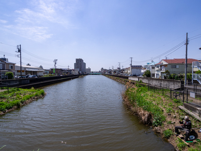 画像を別ウィンドウで表示します 画像