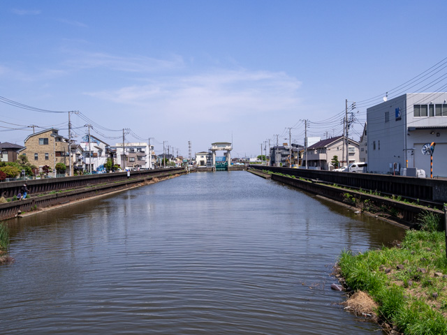 画像を別ウィンドウで表示します 画像