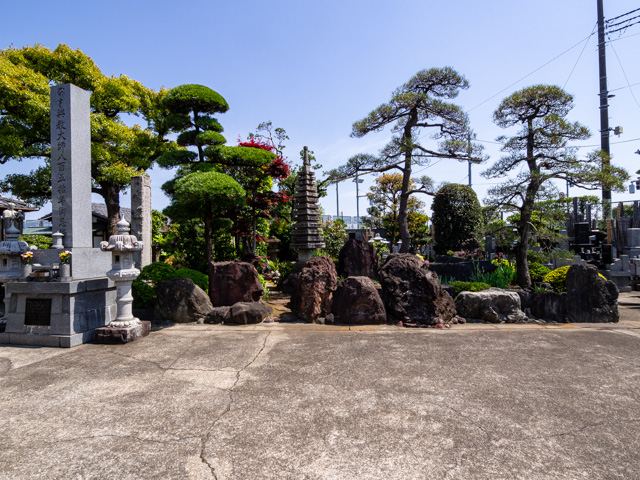 画像を別ウィンドウで表示します 画像