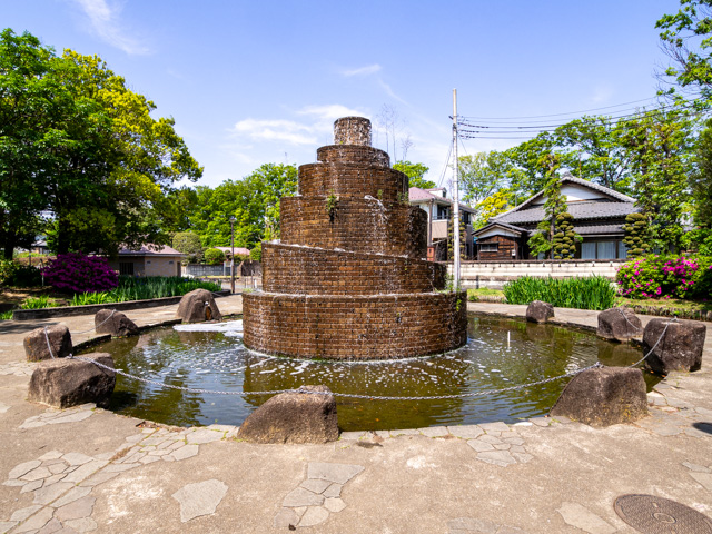 画像を別ウィンドウで表示します 画像