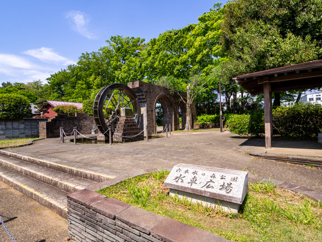 画像を別ウィンドウで表示します 画像