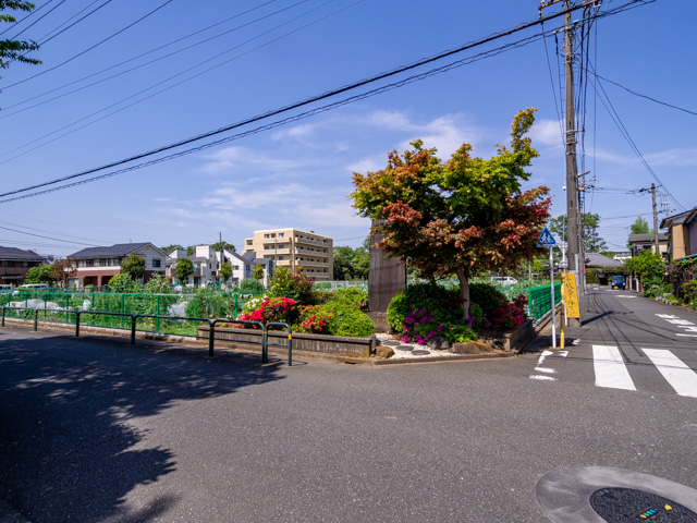 画像を別ウィンドウで表示します 画像