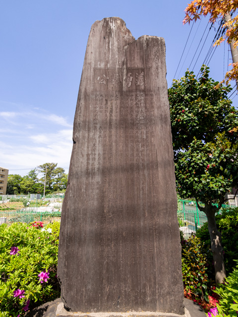 画像を別ウィンドウで表示します 画像