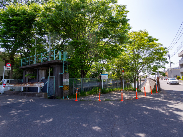 画像を別ウィンドウで表示します 画像