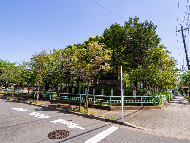 画像を別ウィンドウで表示します 画像