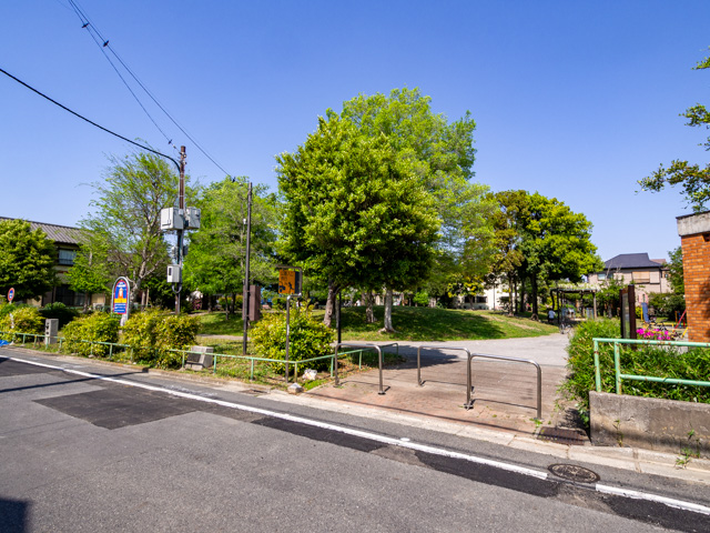 画像を別ウィンドウで表示します 画像