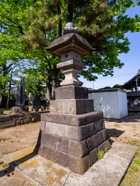 画像を別ウィンドウで表示します 画像