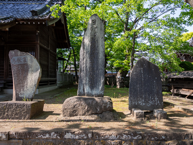 画像を別ウィンドウで表示します 画像