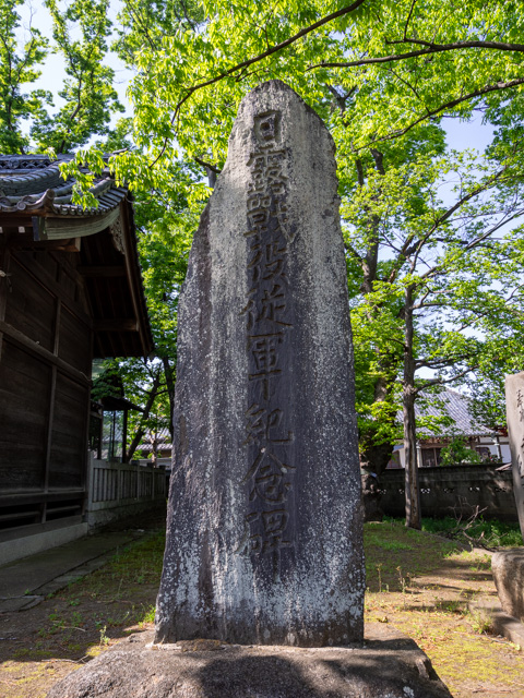 画像を別ウィンドウで表示します 画像