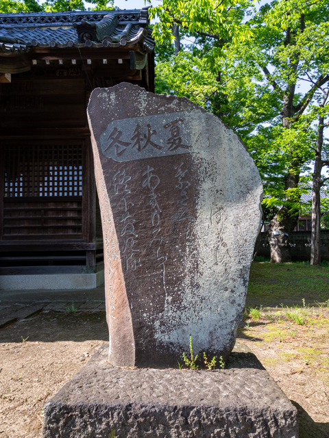 画像を別ウィンドウで表示します 画像