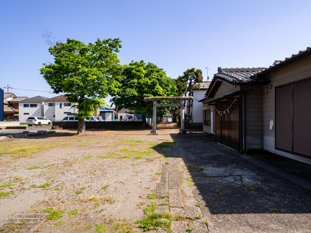 画像を別ウィンドウで表示します 画像
