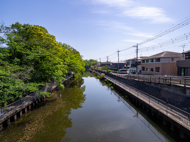 画像を別ウィンドウで表示します 画像