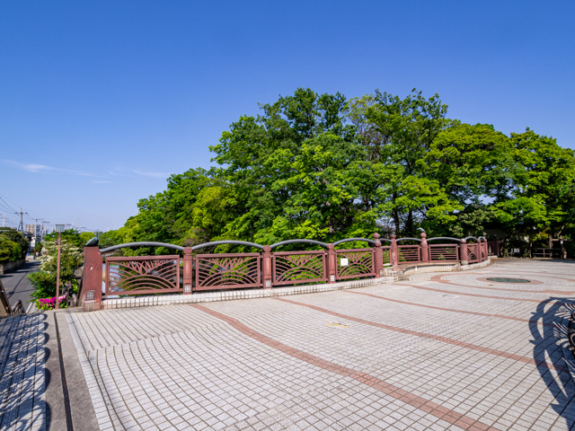 画像を別ウィンドウで表示します 画像