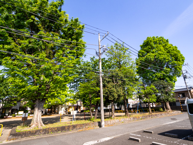 画像を別ウィンドウで表示します 画像