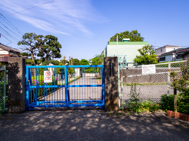 画像を別ウィンドウで表示します 画像