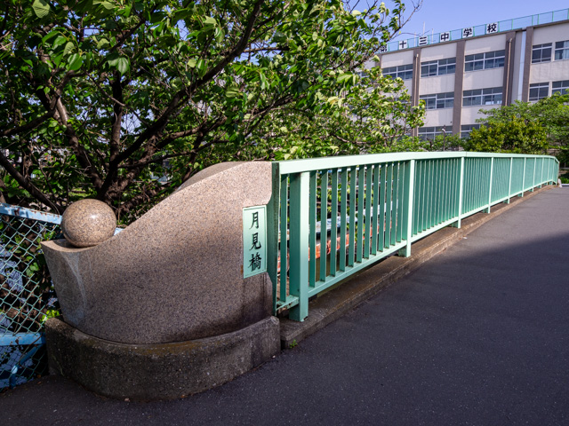 画像を別ウィンドウで表示します 画像