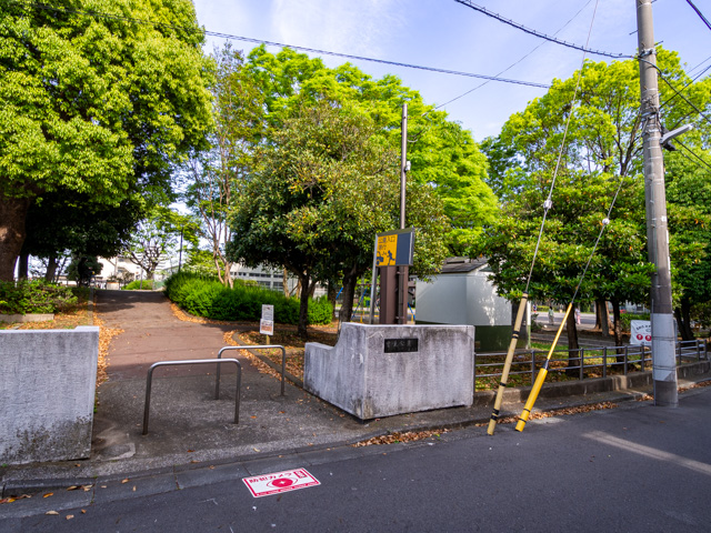 画像を別ウィンドウで表示します 画像