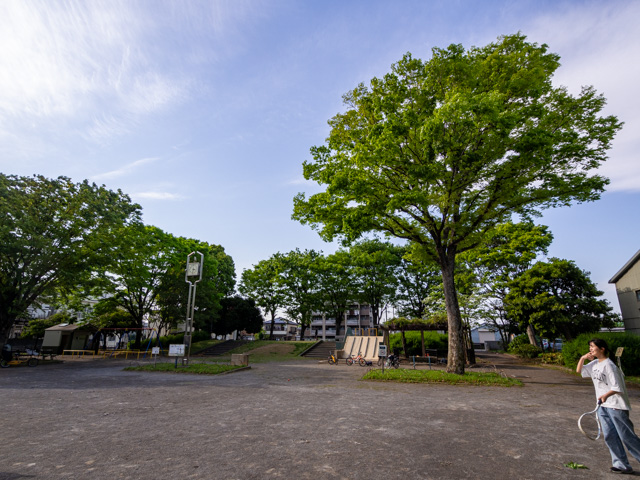 画像を別ウィンドウで表示します 画像