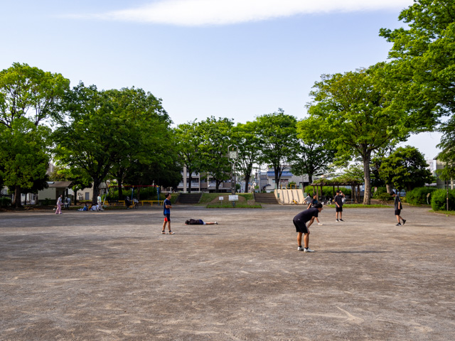 画像を別ウィンドウで表示します 画像