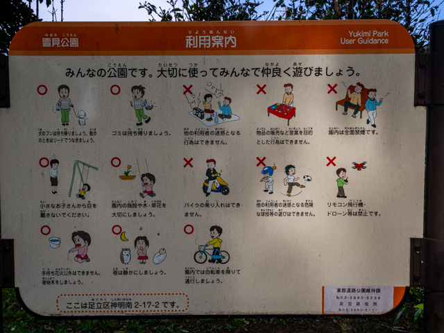 画像を別ウィンドウで表示します 画像