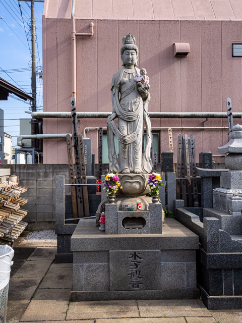 画像を別ウィンドウで表示します 画像