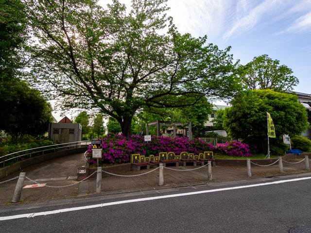 画像を別ウィンドウで表示します 画像