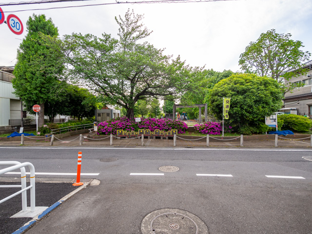 画像を別ウィンドウで表示します 画像