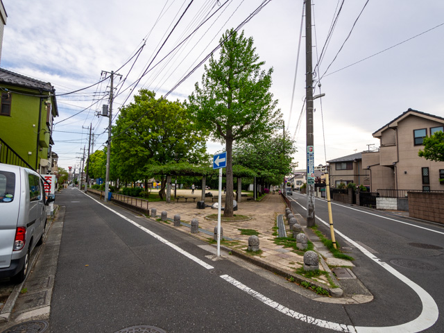画像を別ウィンドウで表示します 画像