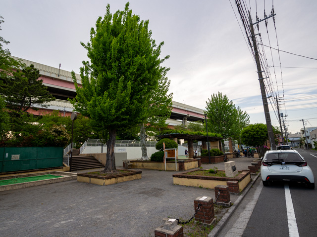 画像を別ウィンドウで表示します 画像