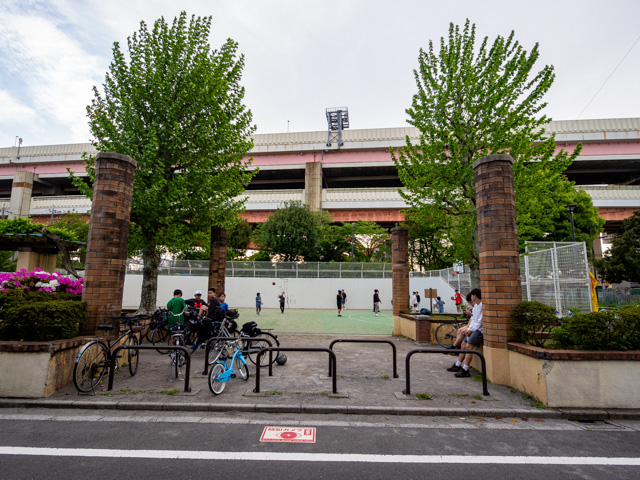 画像を別ウィンドウで表示します 画像
