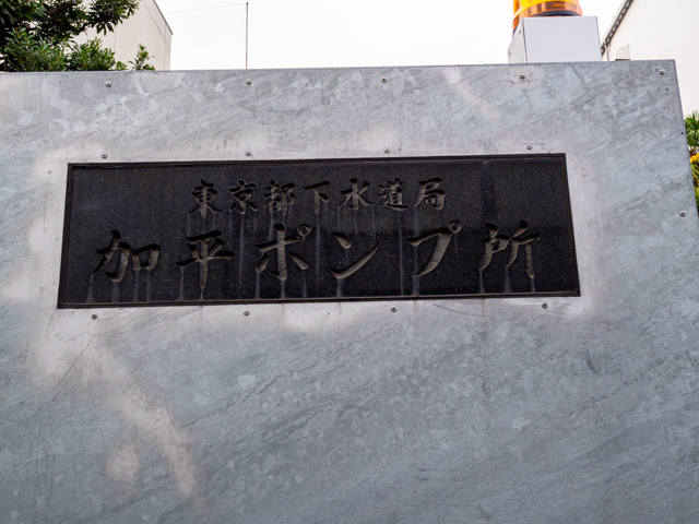 画像を別ウィンドウで表示します 画像