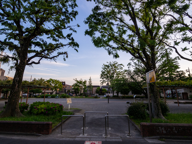 画像を別ウィンドウで表示します 画像