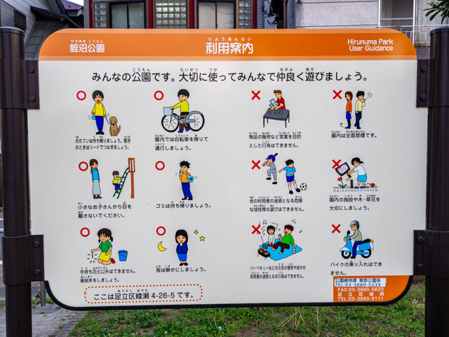 画像を別ウィンドウで表示します 画像