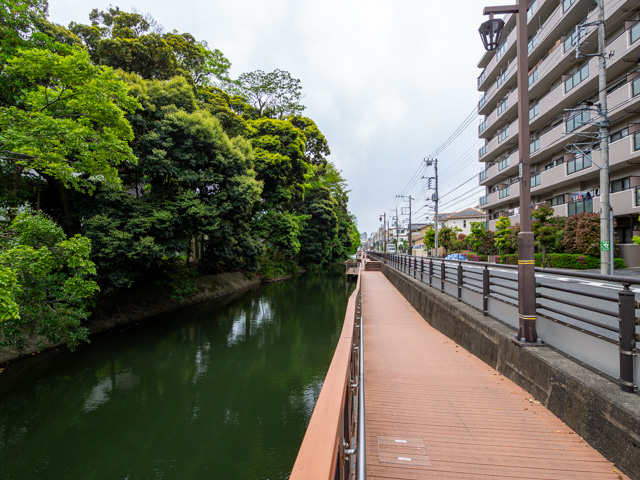 画像を別ウィンドウで表示します 画像