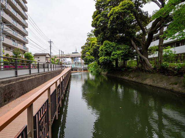 画像を別ウィンドウで表示します 画像