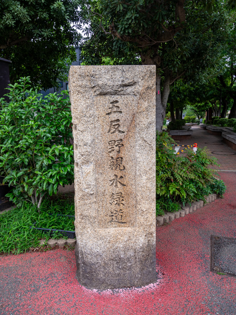 画像を別ウィンドウで表示します 画像