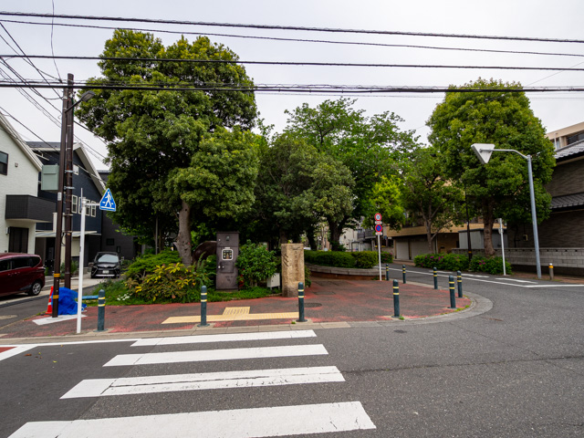 画像を別ウィンドウで表示します 画像