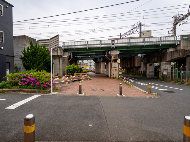 画像を別ウィンドウで表示します 画像