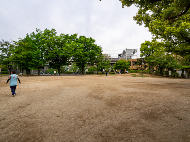 画像を別ウィンドウで表示します 画像