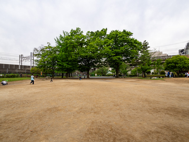 画像を別ウィンドウで表示します 画像