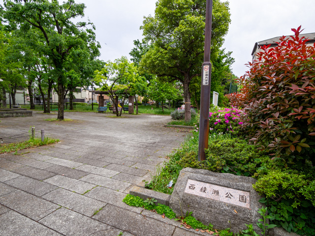 画像を別ウィンドウで表示します 画像