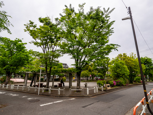 画像を別ウィンドウで表示します 画像